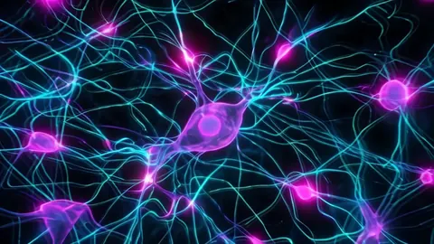 Glowing cyan and magenta neurons joined by bright threads on black.