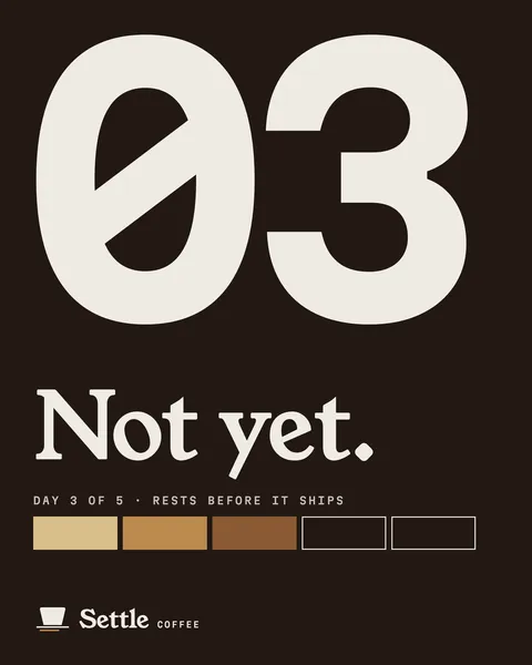 Poster two, 4:5: the numeral 03 and the words Not yet on a char ground, with the Settle mark.